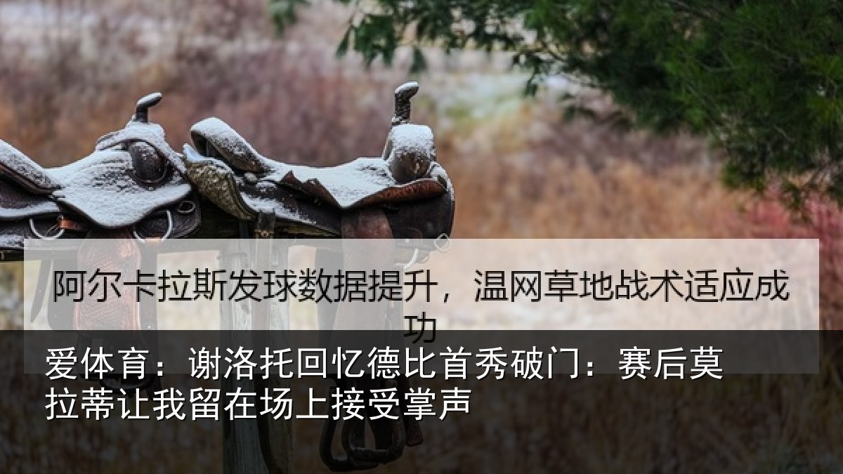 爱体育：谢洛相关情况门赛相关情况场上接受掌声